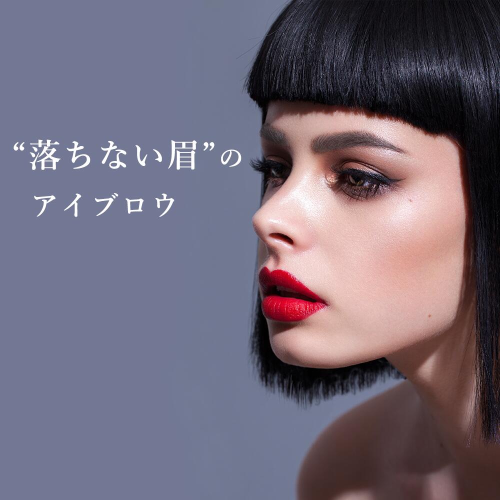 イリヤ アシッドアイブロウ グレー 4958181027988