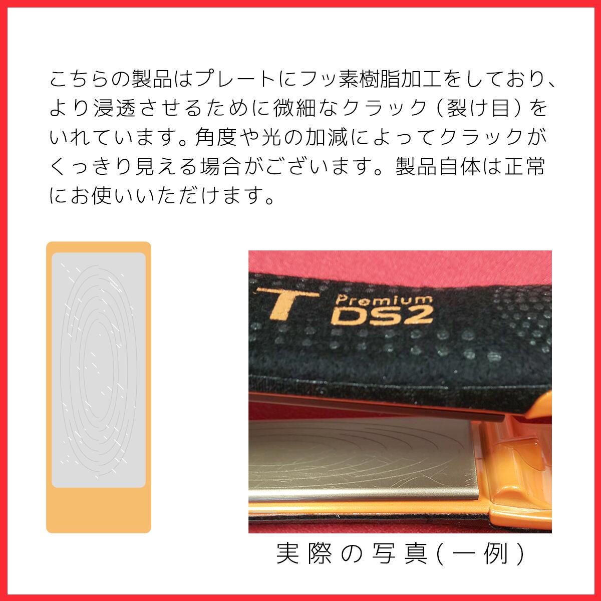アドスト ADST Premium DS2 FDS2-25 4560164095046