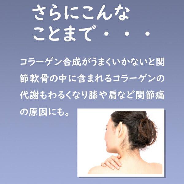 AesVitaC アスビタC リポソーム 高濃度ビタミンC 500mg  30包×2個セット 2992030000014