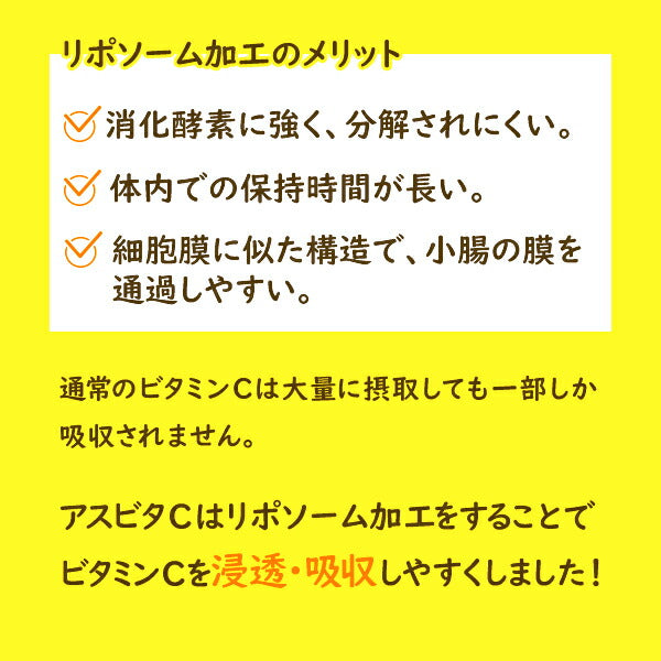 AesVitaC アスビタC リポソーム 高濃度ビタミンC 500mg  30包×2個セット 2992030000014