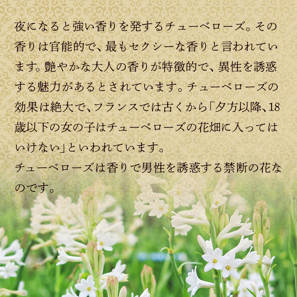 プラセス製薬 フェロモンボディ エステSPA スパ  500g 4988439004041