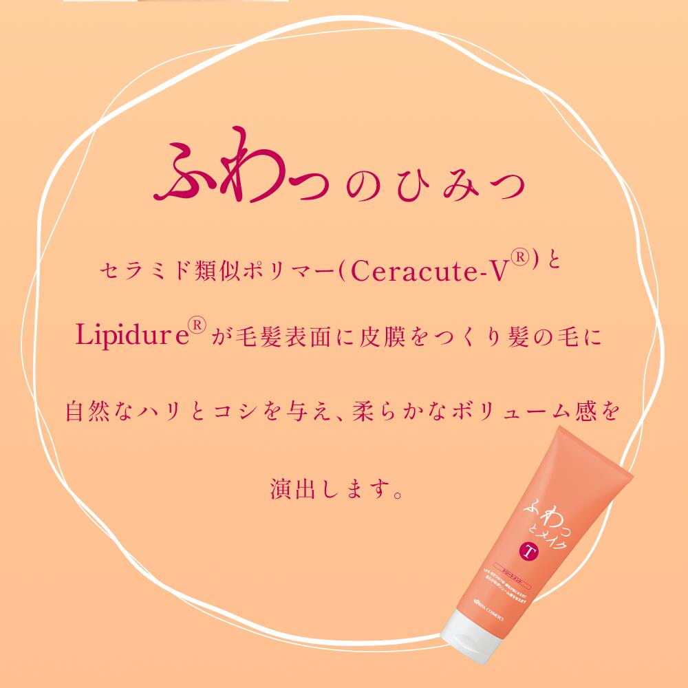 イリヤ ふわっとメイクトリートメント 250g 4958181120023