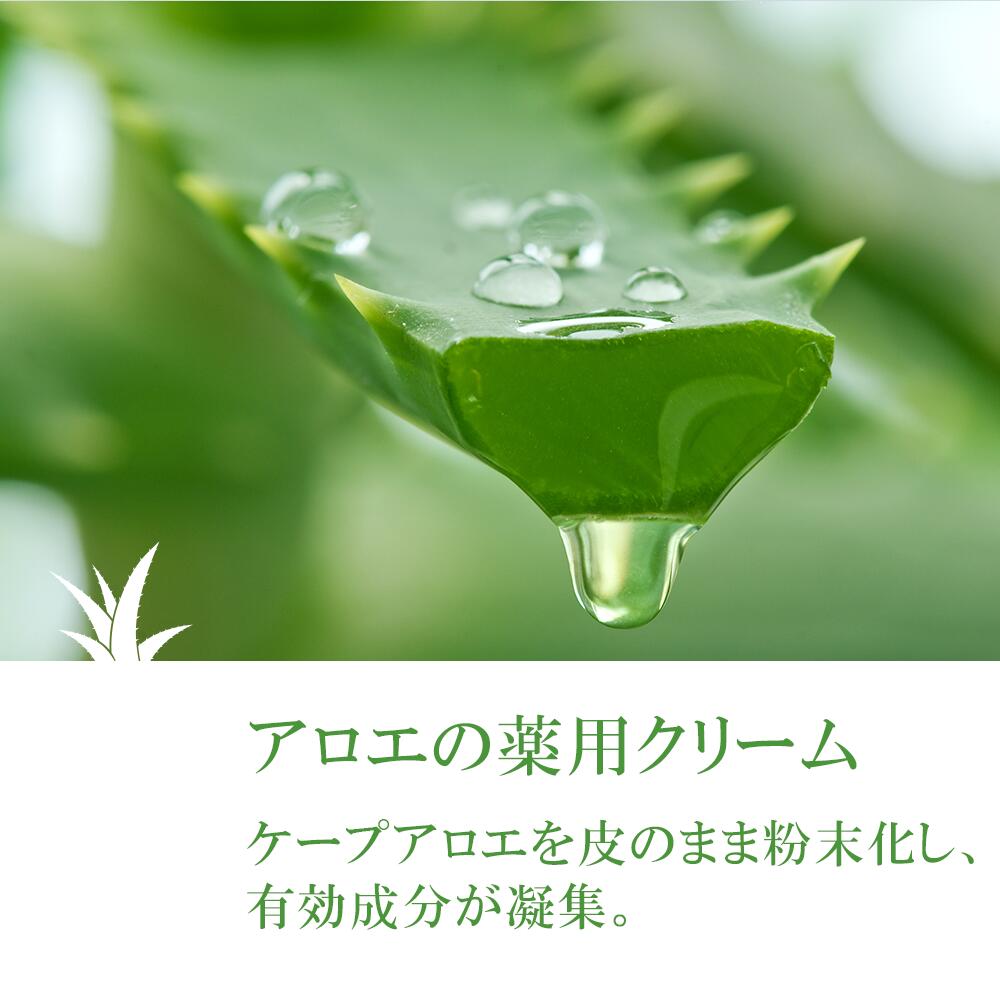 アロインス 蘆薈麗 ロカイレイ 全身薬用クリーム 185g 4956962120163