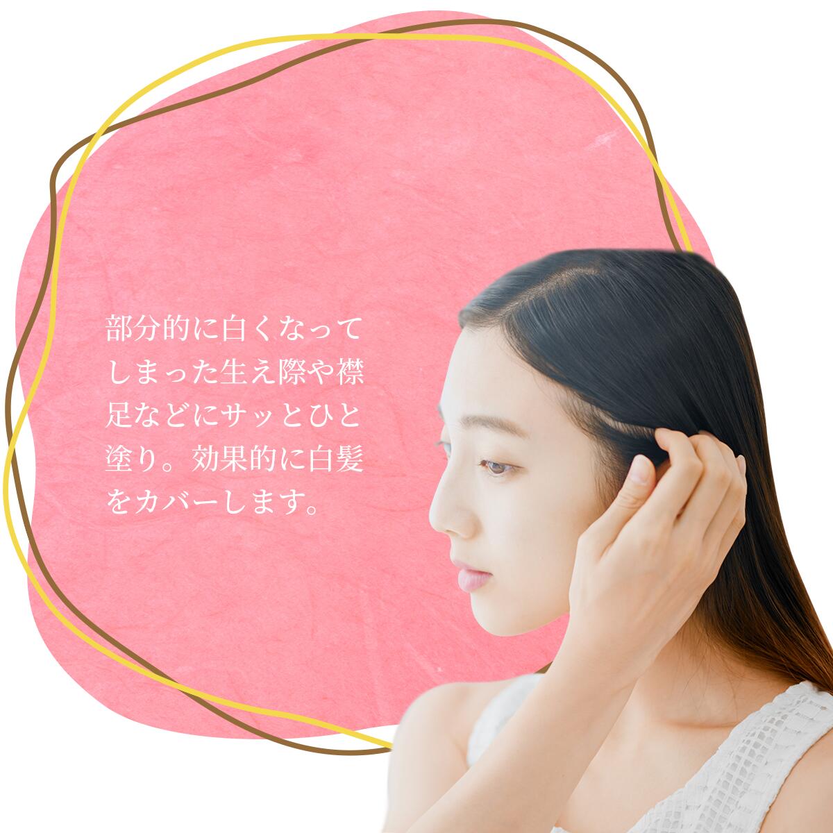 彩 ヘアファンデーション ライトブラウン 13g 4958181027230