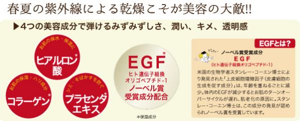 数量限定★ EGF マスク DX 10枚 お試しパック 2913040000054